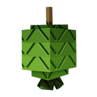 Feijoa