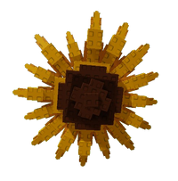 Sunflower Seed